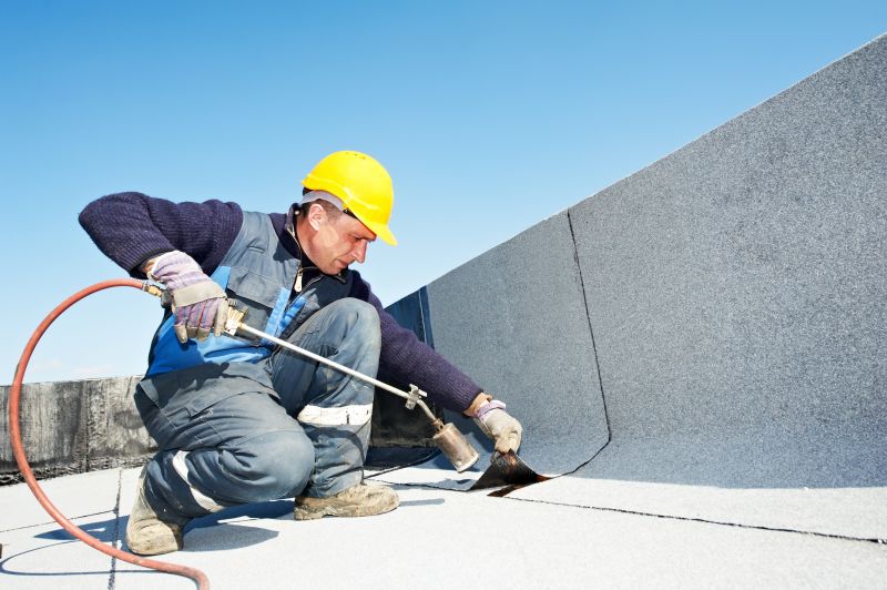 Roof Waterproofing Professionals